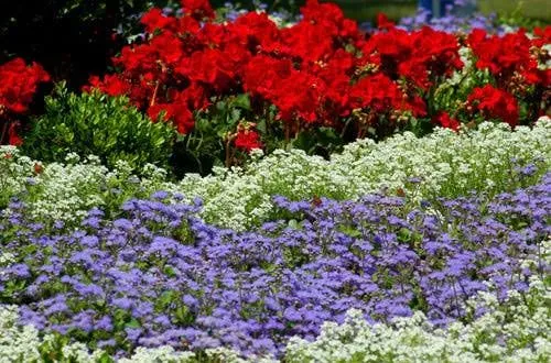 Affordable yard cleanup service in Hudson, FL - Canterbury Farms Wholesale Nursery