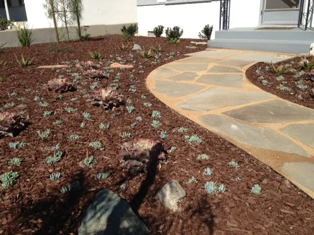 Local landscape installation near you in Pasadena, CA by Canterbury Landscaping