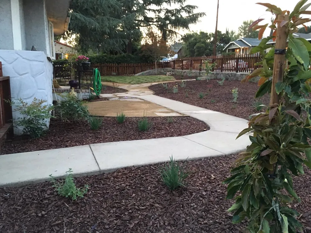 Expert yard cleanup service in Pasadena, CA - Canterbury Landscaping