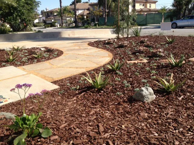 Local landscape design in Pasadena, CA - Canterbury Landscaping