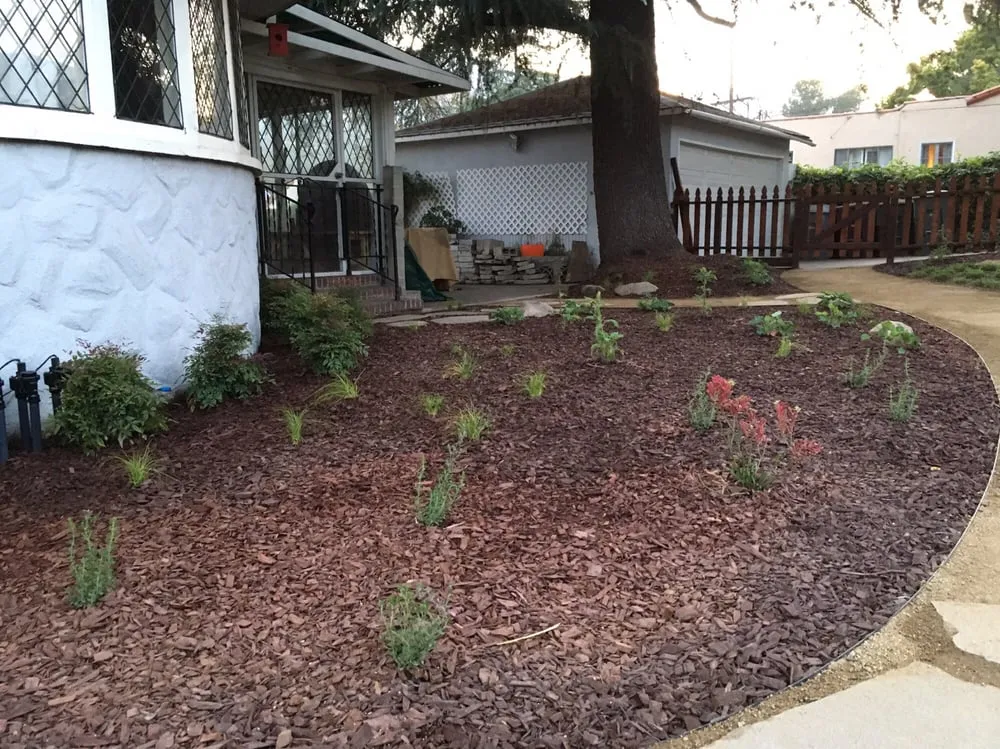 Top-rated lawn care service experts serving Pasadena, CA - Canterbury Landscaping