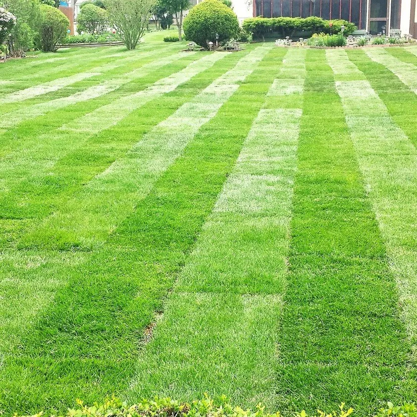 Expert residential landscaping in Hernando, MS - Canton Landscape