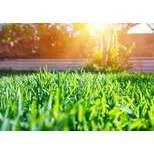 Professional lawn care service in Hernando, MS by Canton Landscape