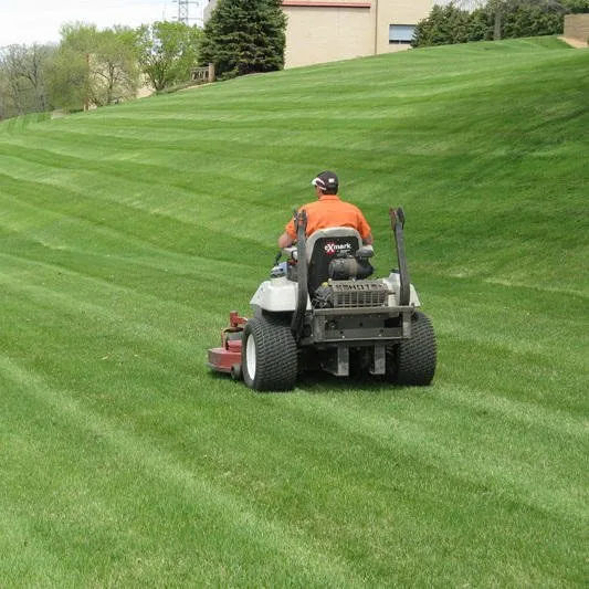 Affordable garden landscaping in Hernando, MS by Canton Landscape