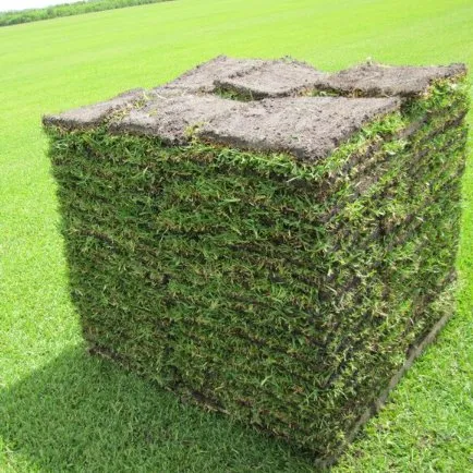 Top-rated yard cleanup service for beautiful yards in Hernando, MS by Canton Landscape