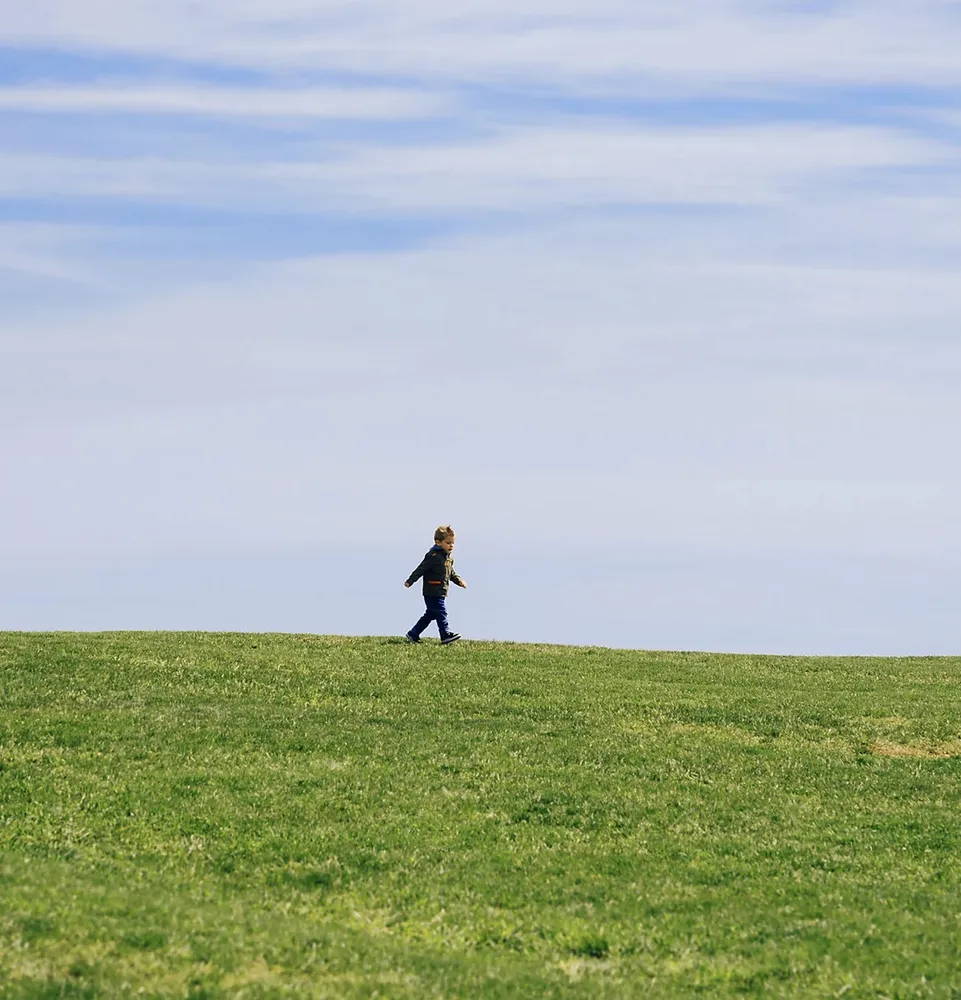 Affordable landscape design experts serving Canton, MI - Canton's Best Lawn Care