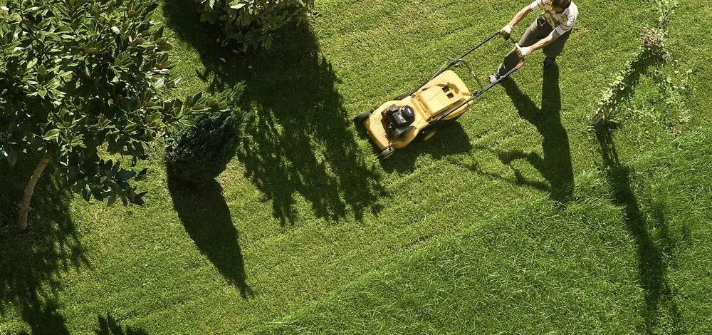 Trusted landscape design in Canton, MI by Canton's Best Lawn Care