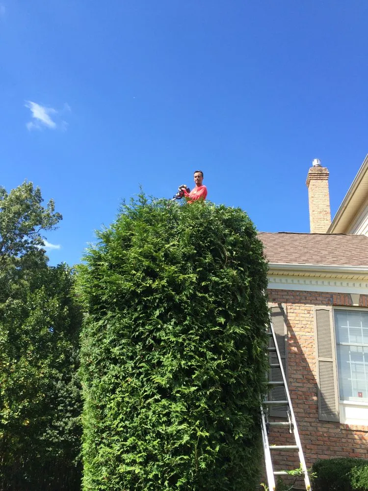 Top-rated yard cleanup service for year-round maintenance in Laurel, MD by Cantoral Landscaping