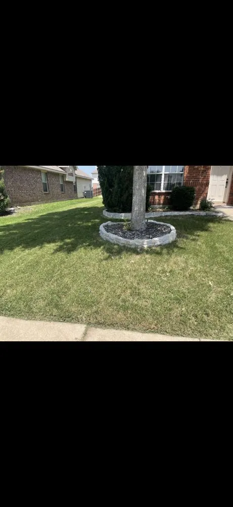 Custom landscape installation in Frisco, TX - Cantoran Landscaping