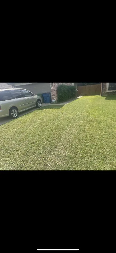 Trusted residential landscaping in Frisco, TX - Cantoran Landscaping