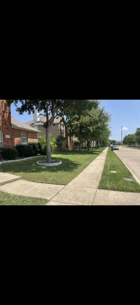 Professional garden landscaping in Frisco, TX by Cantoran Landscaping