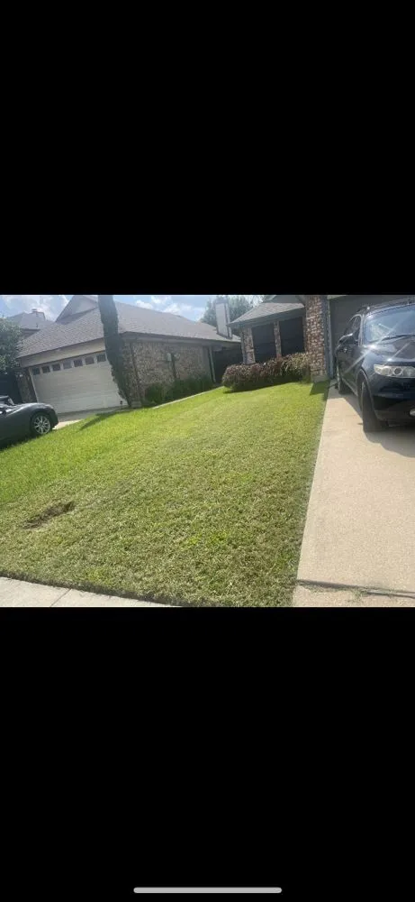 Affordable landscaping services in Frisco, TX - Cantoran Landscaping