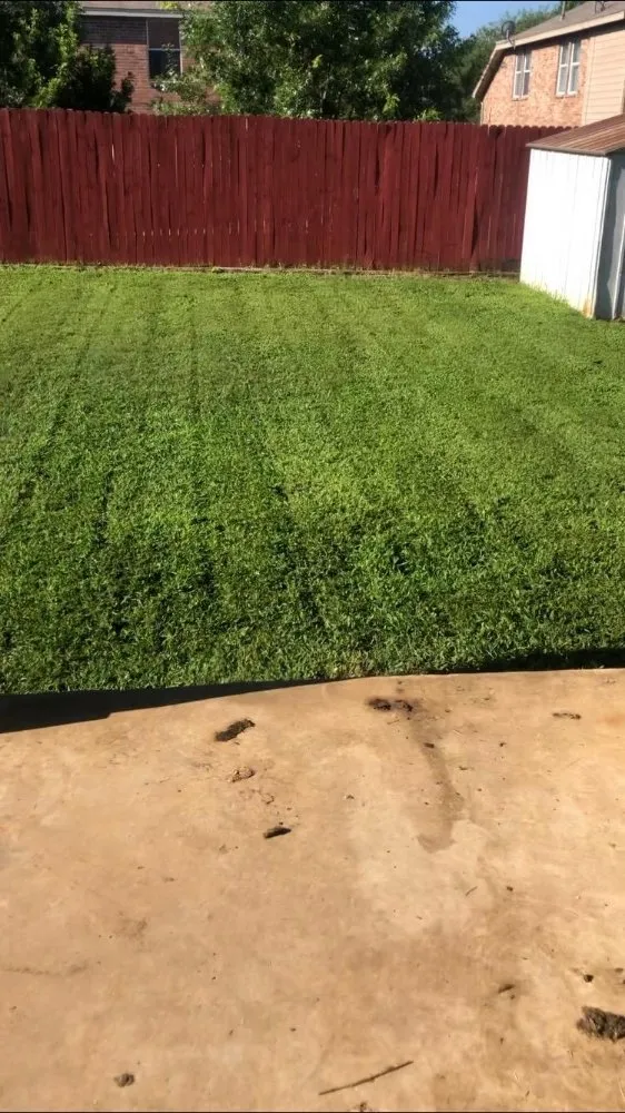 Expert garden landscaping for outdoor upgrades in Frisco, TX by Cantoran Landscaping