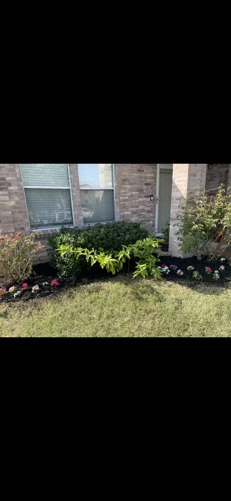 Trusted landscaping services experts serving Frisco, TX - Cantoran Landscaping