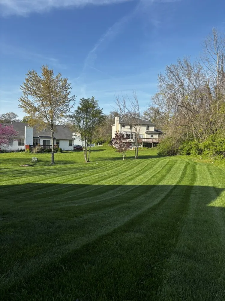 Expert yard maintenance experts serving Kirkwood, MO - Cantrell Cuts