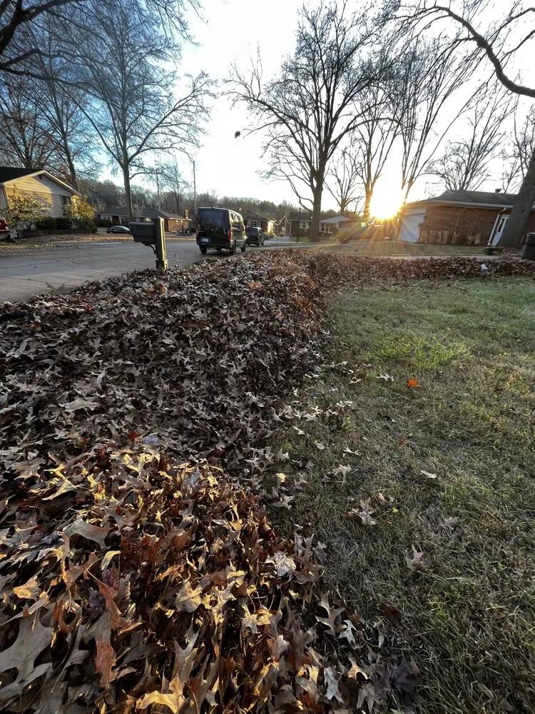 Professional outdoor landscaping in Kirkwood, MO - Cantrell Cuts