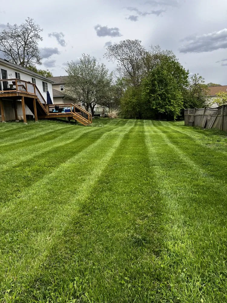 Affordable residential landscaping experts serving Kirkwood, MO - Cantrell Cuts