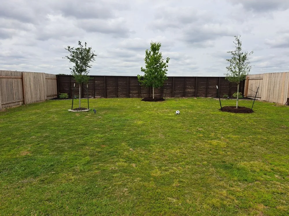 Trusted residential landscaping with custom design across Round Rock, TX - Cantu Nursery & Landscape