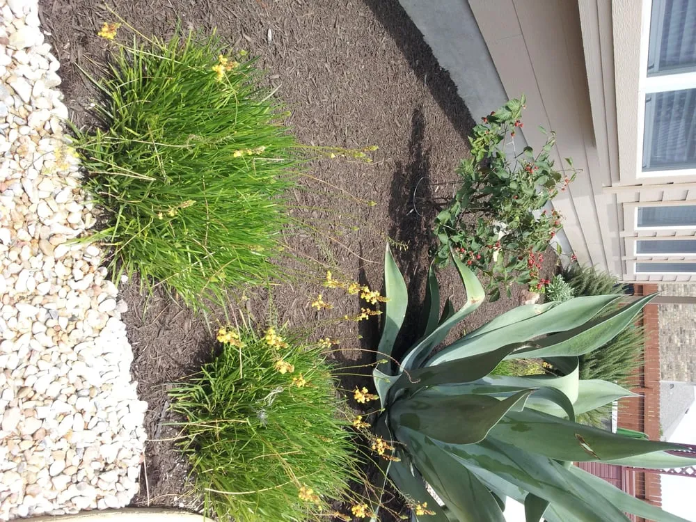 Reliable garden landscaping for homes across Round Rock, TX - Cantu Nursery & Landscape