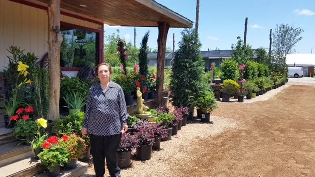 Expert yard maintenance in Round Rock, TX by Cantu Nursery & Landscape