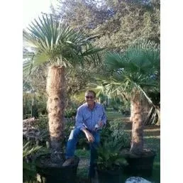 Professional landscaping services for outdoor upgrades in Round Rock, TX by Cantu Nursery & Landscape