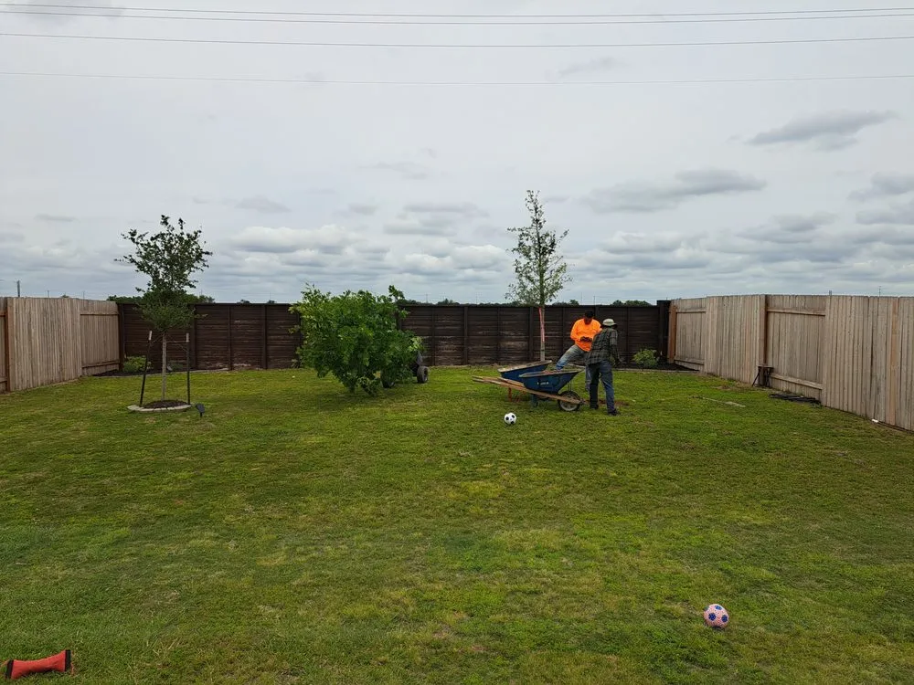 Expert yard cleanup service in Round Rock, TX by Cantu Nursery & Landscape