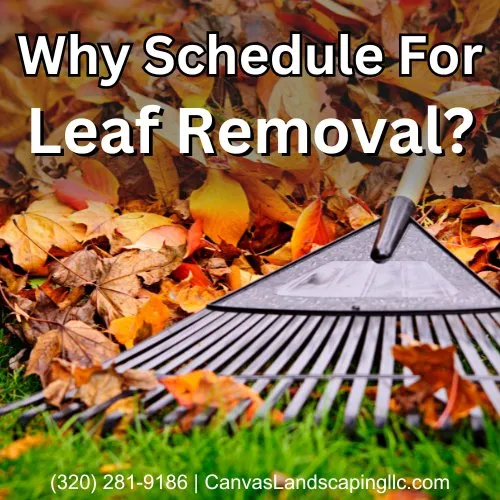Professional yard maintenance in St Cloud, MN - Canvas Landscaping