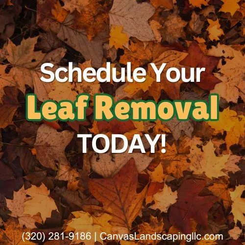 Professional garden landscaping in St Cloud, MN by Canvas Landscaping