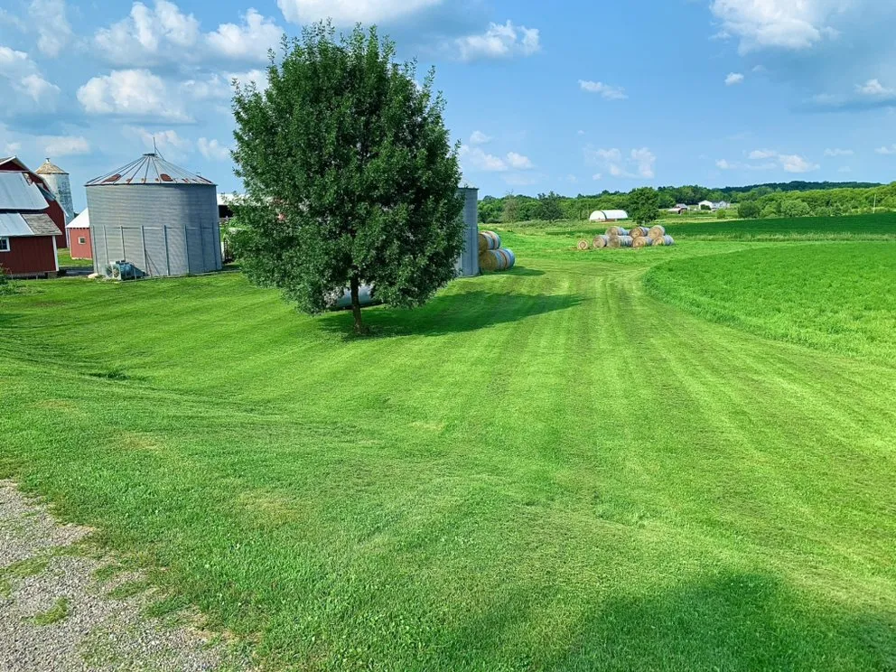 Local lawn mowing service in St Cloud, MN by Canvas Landscaping