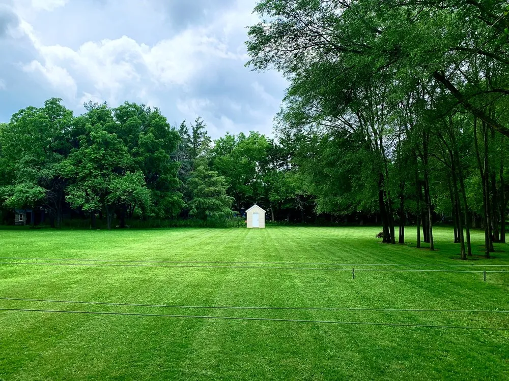 Expert yard maintenance in St Cloud, MN by Canvas Landscaping