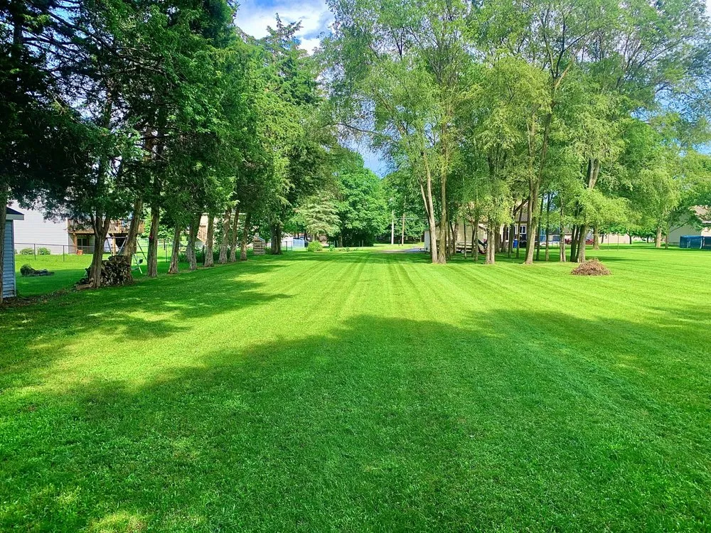 Local yard cleanup service experts serving St Cloud, MN - Canvas Landscaping