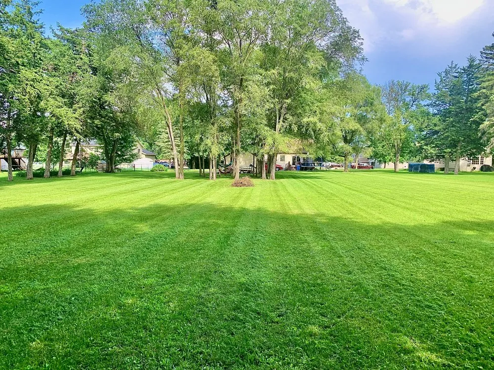 Local landscape installation in St Cloud, MN - Canvas Landscaping