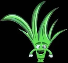 Local residential landscaping in Starke, FL - Canvas Landscaping