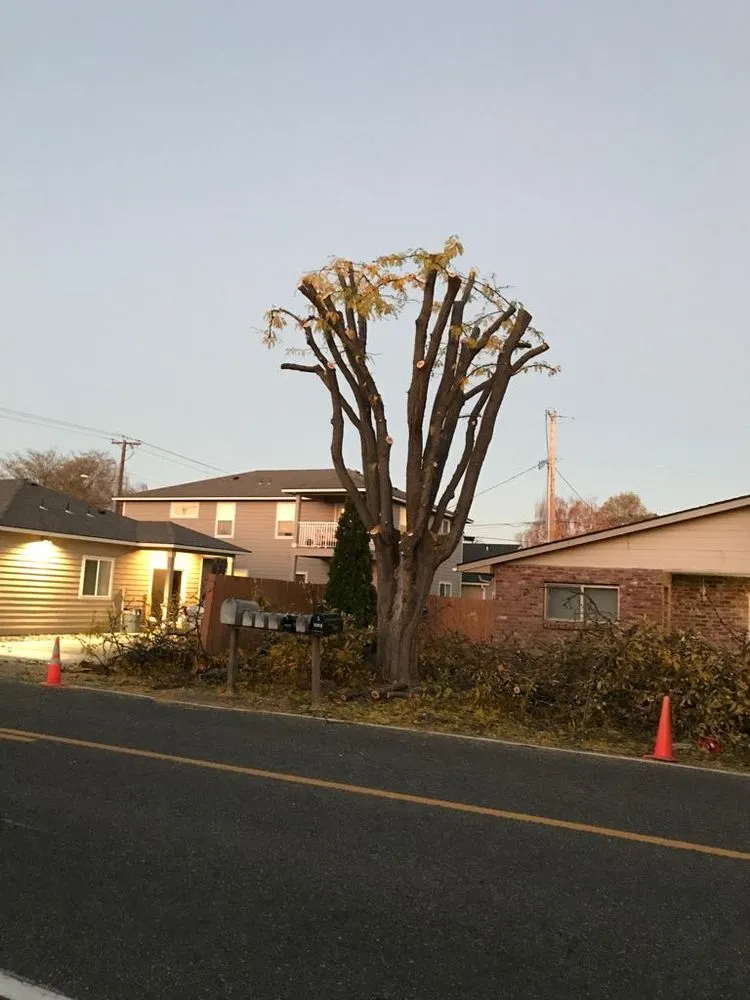 Affordable residential landscaping near you in Hermiston, OR by Canvin Tree Service