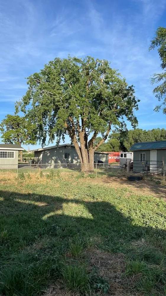 Professional yard cleanup service near you across Hermiston, OR - Canvin Tree Service