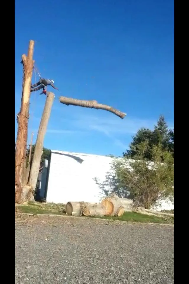 Expert yard cleanup service for homes across Hermiston, OR - Canvin Tree Service