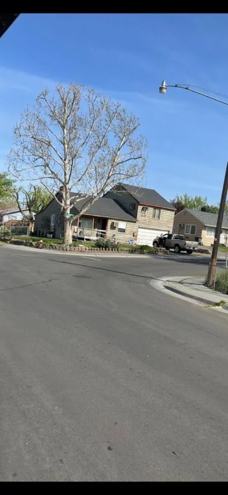 Professional landscape installation experts serving Hermiston, OR - Canvin Tree Service