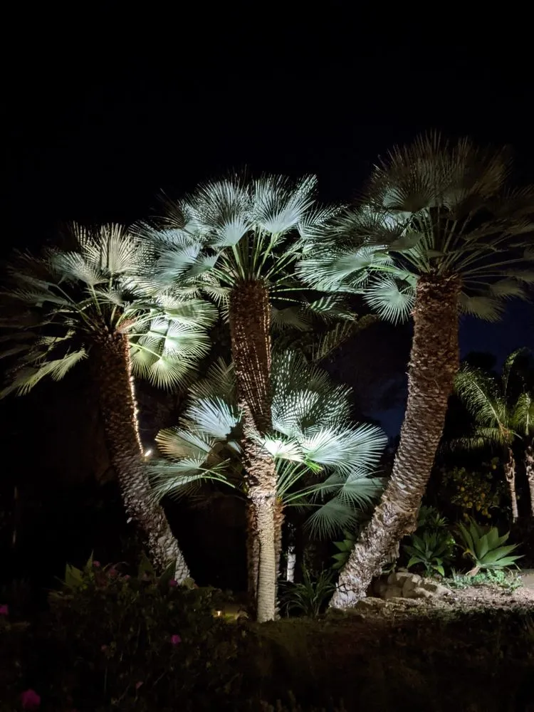 Reliable landscape design experts serving Goleta, CA - Canyon Creek Landscape Service