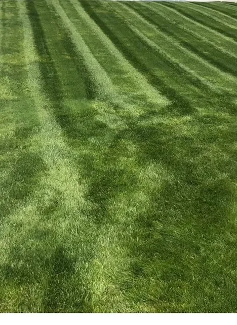 Affordable lawn mowing service experts serving Gilbertsville, PA - Canyon Creek Landscapes