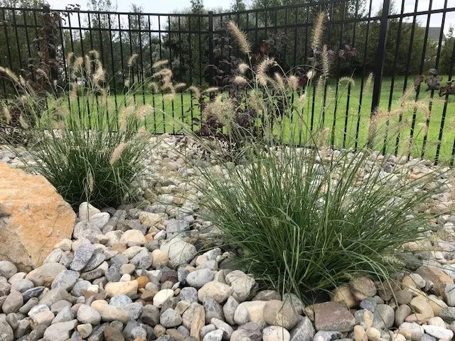 Professional yard cleanup service in Gilbertsville, PA by Canyon Creek Landscapes