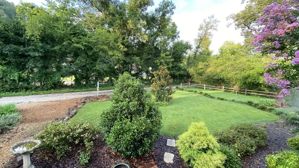 Top-rated yard cleanup service for outdoor upgrades across Trenton, GA - Canyon Creek Property Maintenance