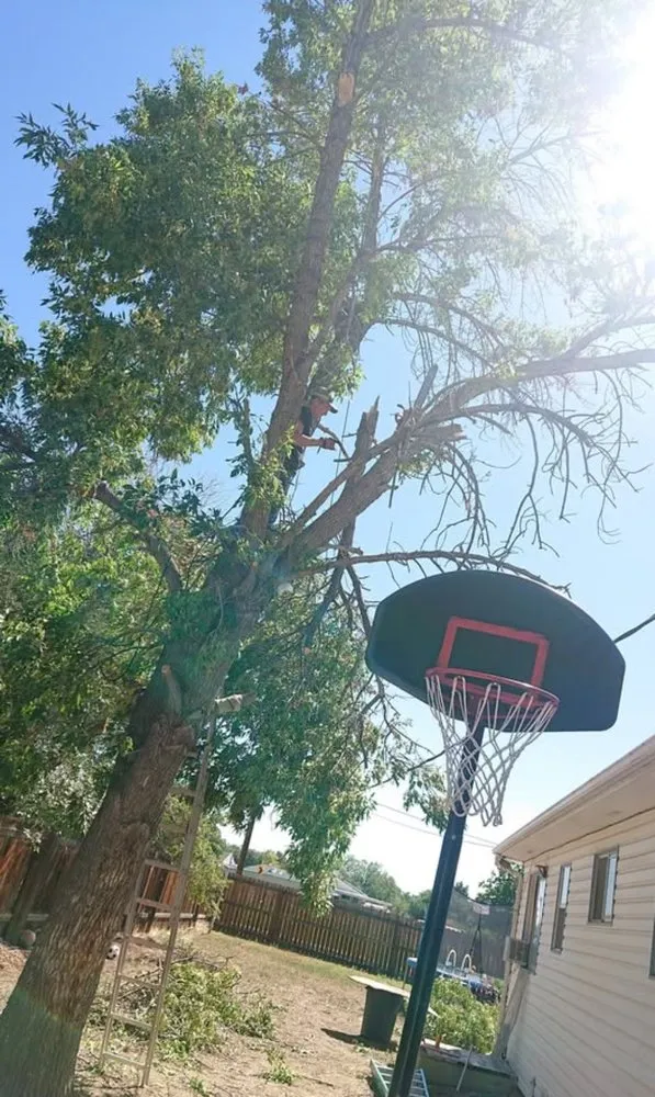 Local lawn care service near you across Cañon City, CO - Canyon Curb Appeal