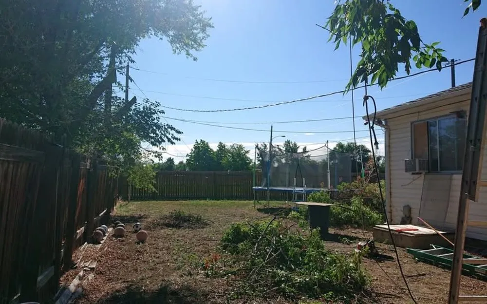 Top-rated landscaping services near you in Cañon City, CO by Canyon Curb Appeal