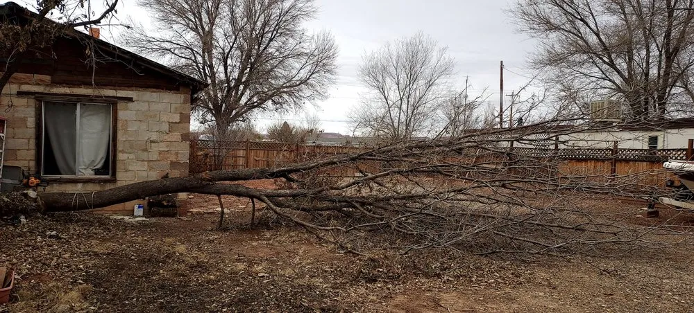 Top-rated garden landscaping with custom design in Prescott Valley, AZ by Canyon Handyman Services