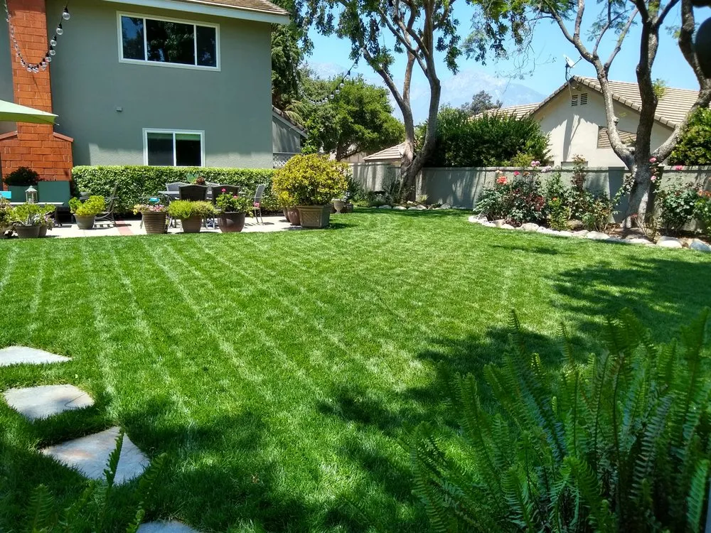 Top-rated lawn mowing service experts serving Colton, CA - Canyon Hydroseeding