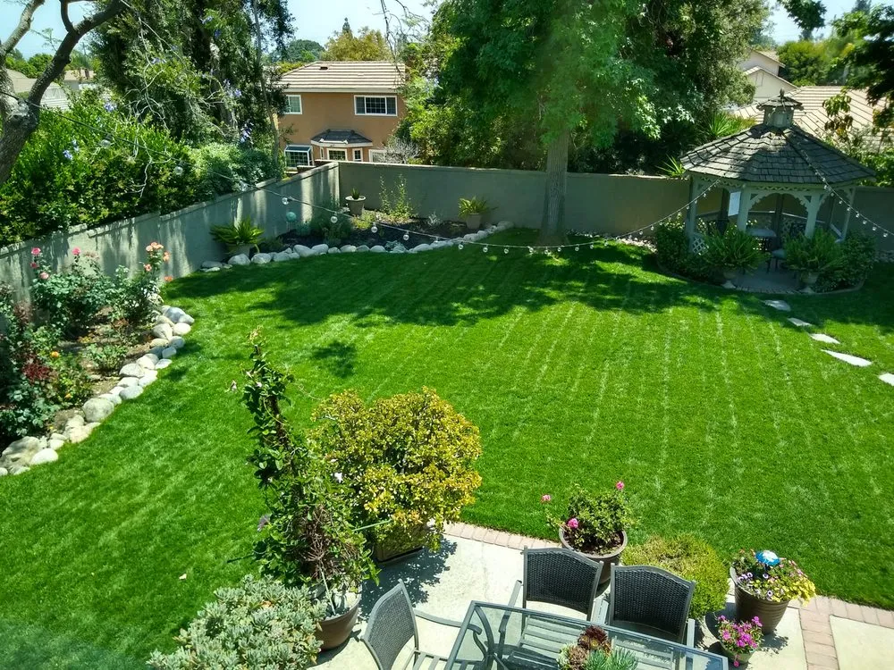 Custom landscaping services in Colton, CA - Canyon Hydroseeding