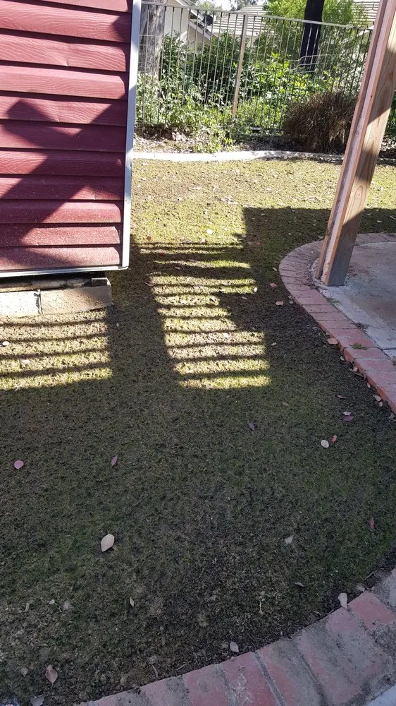 Top-rated yard cleanup service for homes across Colton, CA - Canyon Hydroseeding