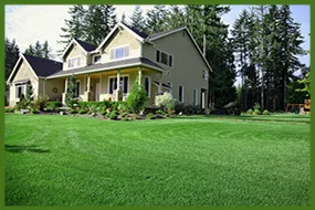 Reliable outdoor landscaping in Colton, CA by Canyon Hydroseeding