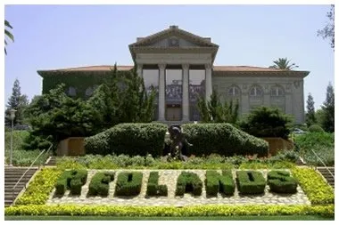 Custom landscaping services in Colton, CA by Canyon Hydroseeding