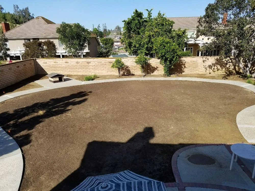 Trusted lawn care service for year-round maintenance in Colton, CA by Canyon Hydroseeding